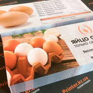 Флаєри Львів